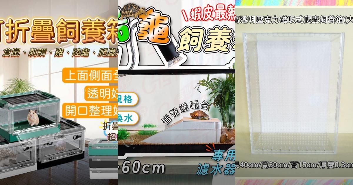 2025【爬蟲飼養箱】7款高透氣保溫箱推薦|新手大容量與專業溫控選購指南