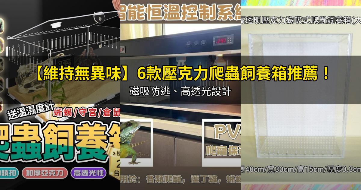 2026【維持無異味】6款壓克力爬蟲飼養箱推薦!磁吸防逃、高透光設計|PTT/Dcard嚴選