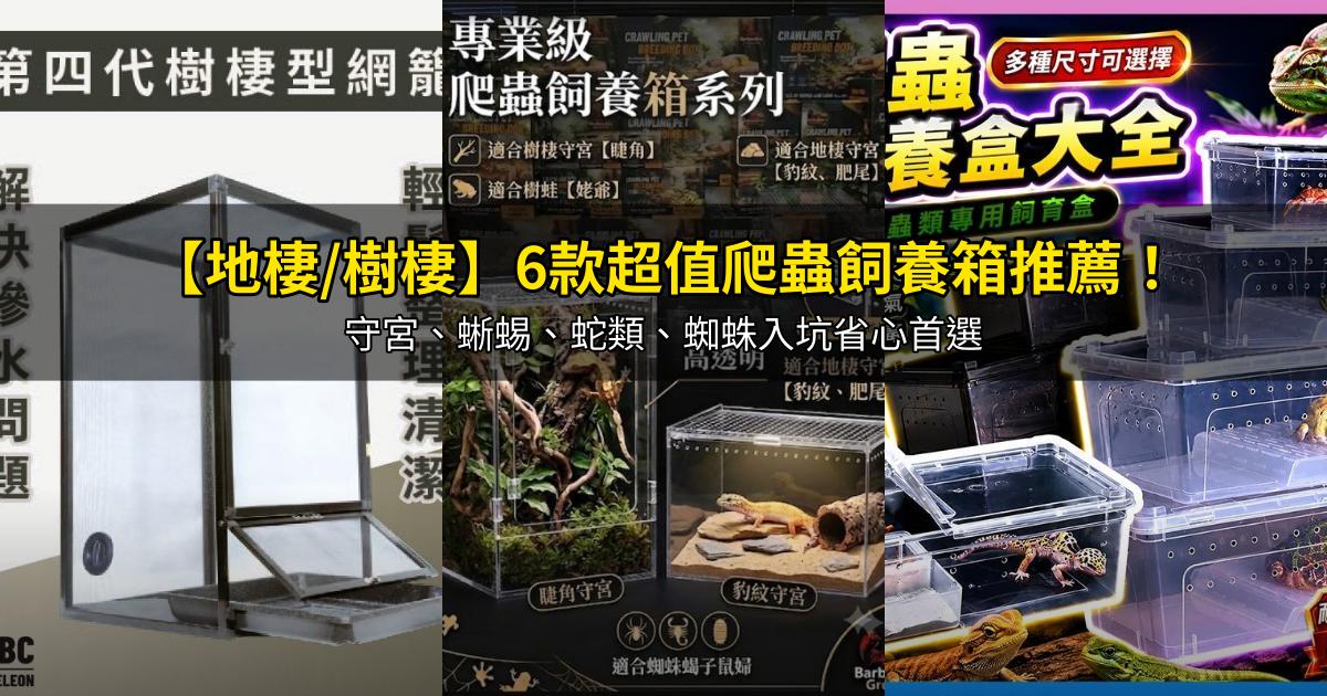 2026【地棲/樹棲】6款超值爬蟲飼養箱推薦!守宮、蜥蜴、蛇類、蜘蛛入坑省心首選|PTT/Dcard嚴選