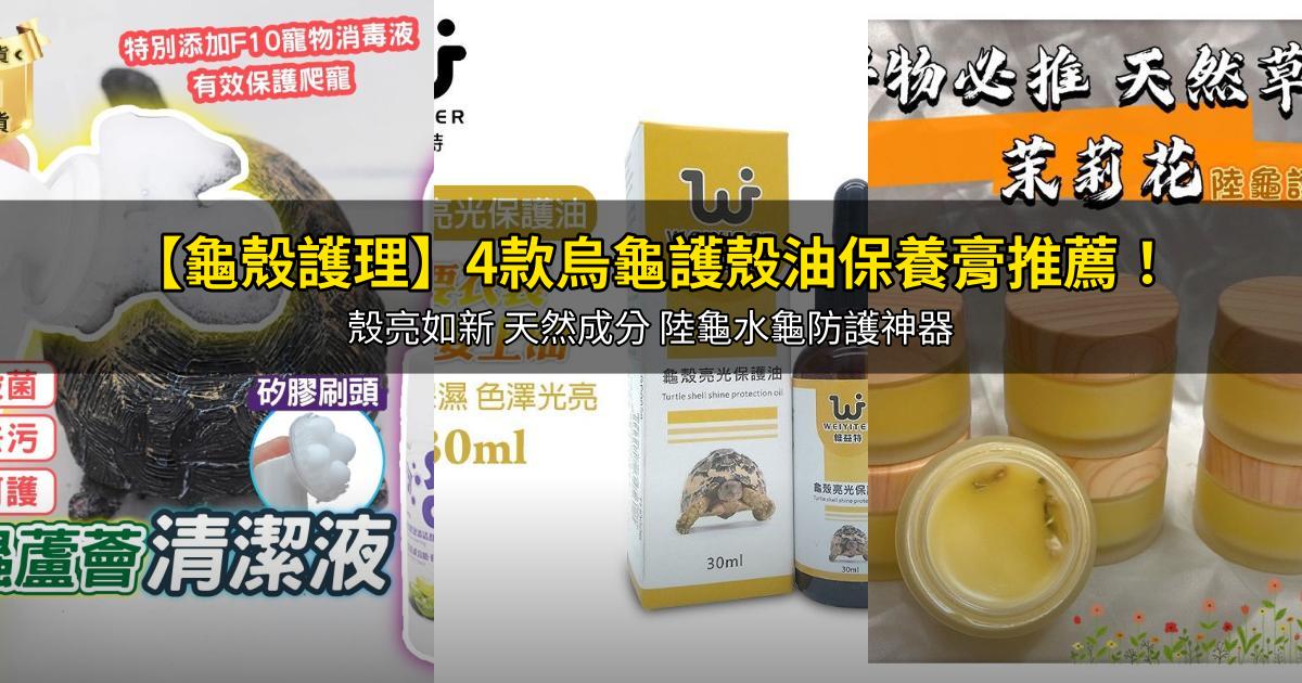 2026【龜殼護理】4款烏龜護殼油保養膏推薦!殼亮如新 天然成分 陸龜水龜防護神器|PTT/Dcard嚴選