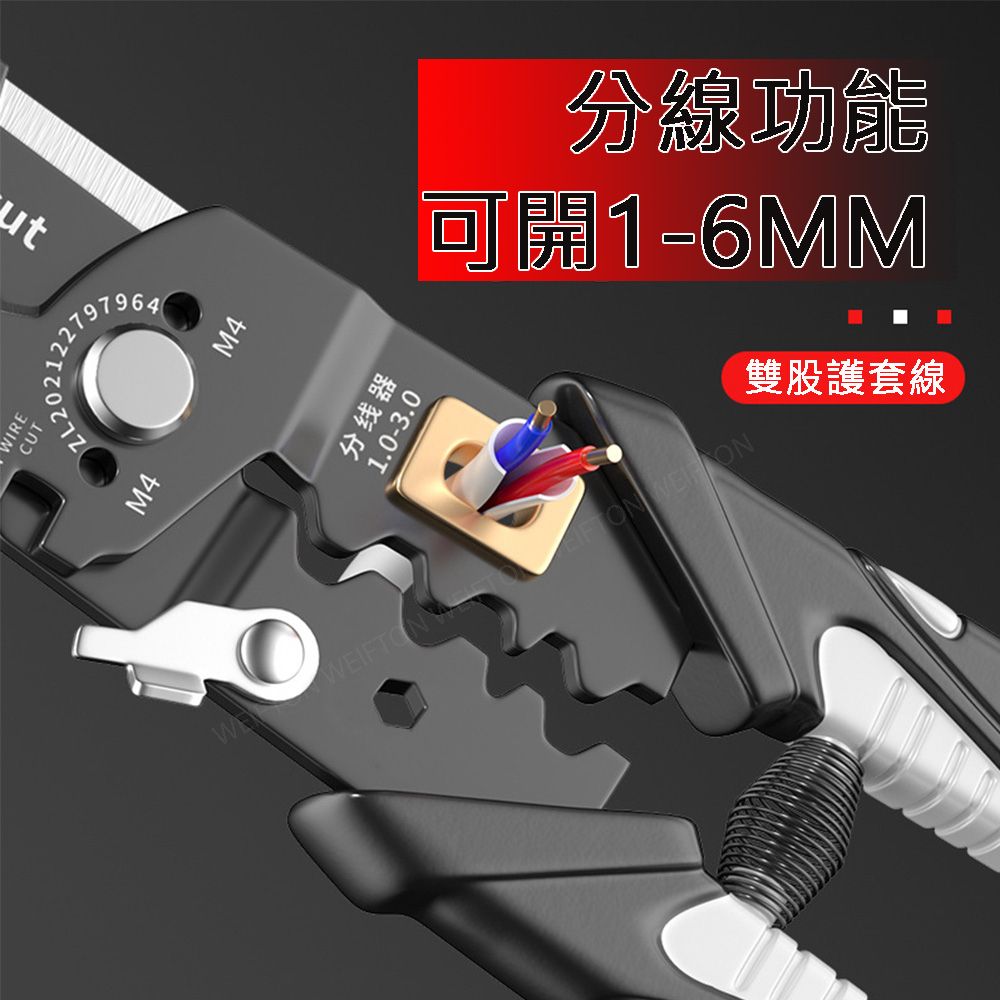 圖片3