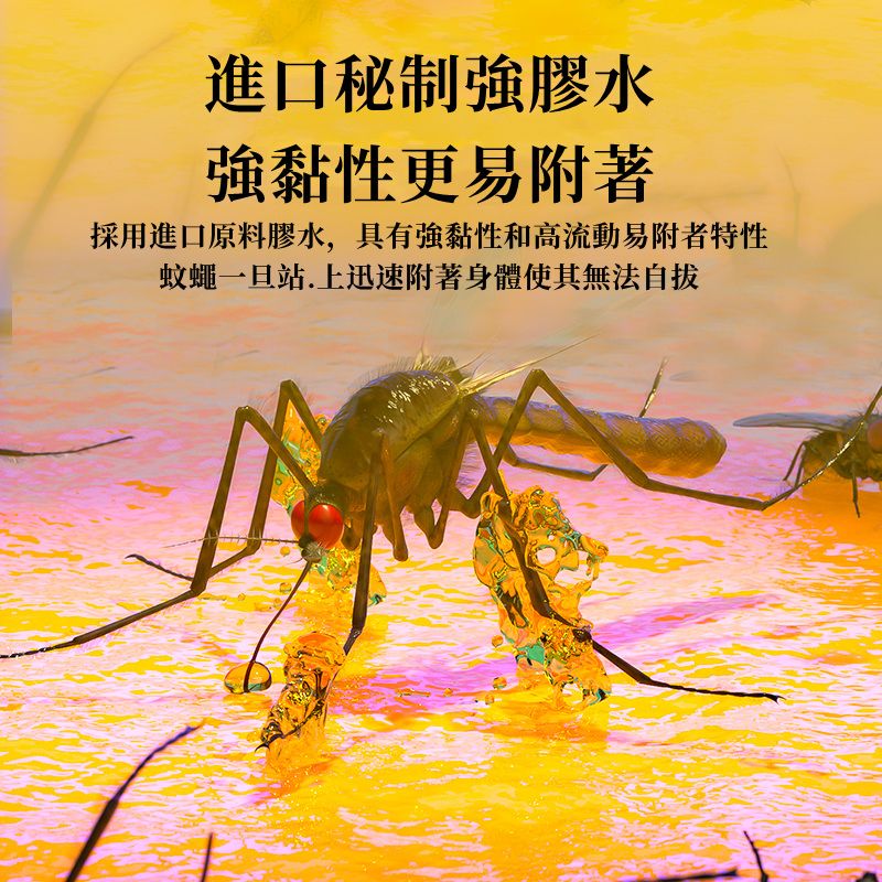 津久見3